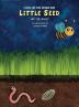 Little Seed: A Plant Life Cycle Rhyming Book