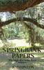 Springbank Papers: Through the Sun's Eyes (Volume I)