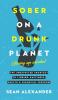 Sober On A Drunk Planet: Giving Up Alcohol: The Unexpected Shortcut To Finding Happiness Health and Financial Freedom