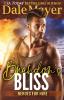 Brandon's Bliss: A SEALs of Honor World Novel: 13 (Heroes for Hire)