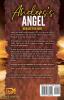 Anders's Angel: A SEALs of Honor World Novel: 16 (Heroes for Hire)