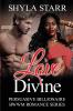 Love Divine: 5 (Persuasive Billionaire Bwwm Romance)