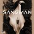 Annotated Sandman Vol. 1