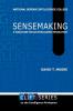 Sensemaking: A Structure for an Intelligence Revolution