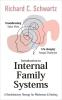 Introduction to Internal Family Systems