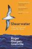 Shearwater