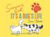 Simon's Cat: It's a Dog's Life