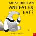 WHAT DOES AN ANTEATER EAT?