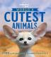 The World'S Cutest Animals 1 [AU/UK]