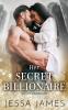 Her Secret Billionaire: 3 (Bad Boy Billionaires)