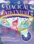 Hide and Seek: Magical Adventure (Torch book)