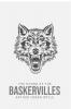 The Hound of the Baskervilles