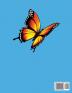 How to draw Butterfly coloring book for kids 4-8: A cute activity book for children full of butterflies to draw and color