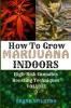 How to Grow Marijuana Indoors: High-Risk Cannabis Boosting Techniques: 3