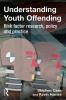 Understanding Youth Offending