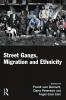 Street Gangs Migration and Ethnicity