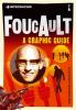 Introducing Foucault: A Graphic Guide