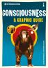 Introducing Consciousness: A Graphic Guide (Graphic Guides)