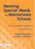 Meeting Special Needs in Mainstream Schools