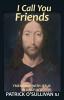 I Call You Friends: Friendship with Jesus in Daily Life