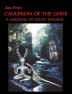 Cauldron of The Gods: A Manual of Celtic Magick