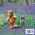 Adventures of a Far Away Bear: Book 8 - Do Bluebells Ring?