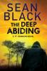 The Deep Abiding: 2 (Ty Johnson)