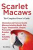 Scarlet Macaws Information and Facts on Scarlet Macaws The Complete Owner's Guide including Breeding Lifespan Personality Cages Temperament Diet and Keeping them as Pets