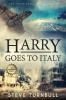 Harry Goes to Italy: 4 (Iron Pegasus)