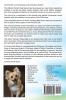 Pomchi. The Ultimate Pomchi Dog Manual. Pomchi care costs feeding grooming health and training all included.