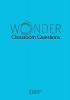 Wonder Classroom Questions