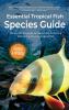 Essential Tropical Fish: Species Guide