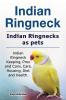 Indian Ringneck. Indian Ringnecks as pets. Indian Ringneck Keeping Pros and Cons Care Housing Diet and Health.