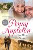 Love Home At Last: Large Print Edition: 3 (Summerfield Sweet Romance)