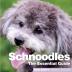 Schnoodles: The Essential Guide