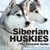 Siberian Huskies: The Essential Guide