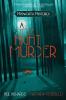 A Little Night Murder: 2 (Mydworth Mysteries)