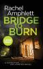 Bridge to Burn: A Detective Kay Hunter murder mystery: 7