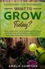 Gardening For Beginners: WHAT TO GROW TODAY? - Basic Gardening Tips To Growing Vegetables Hydroponics Mini Farming Hydropopnics and Herb Gardening In Any Environment