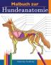 Malbuch zur Hundeanatomie: Unglaublich Detailliertes Arbeitsbuch über Hundeanatomie in Farbe zum Selbsttest Perfektes Geschenk für Tiermedizinstudenten Hundefreunde und Erwachsene