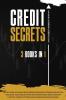 Credit Secrets: The 3-in-1 DIY Guide to Learn Credit Repair Strategies Attorneys Never Tell You Blast Your Credit Rating & Avoid Fraud. Reach Wealthy Lifestyle. Dispute Letters & Valuable Bonuses