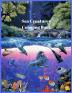 Sea Creatures Coloring Book: For Men and Woman with Sea and Underwater Life Featuring Dolphins Tropical Fish Amazing Coral Reefs and Beautiful Landscapes.