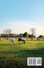 Horseback Riding for Beginners: A Complete Guide to becoming a professional Horse Rider