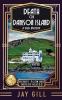 Death on Damson Island: A 1920s Mystery: 3 (Henry Fleming Investigates)