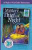 Mystery of the Thief in the Night: Mexico 1: 4 (Pack-N-Go Girls Adventures)