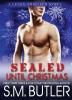 SEALed until Christmas: 4 (Lucky Thirteen Seals)