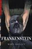 Frankenstein: Illustrated by Lynd Ward: 23 (Top Five Classics)