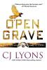 Open Grave: a Beacon Falls Thriller featuring Lucy Guardino: 3 (Beacon Falls Cold Case Mysteries)