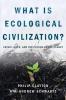 What is Ecological Civilization: Crisis Hope and the Future of the