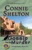 Gossip Can Be Murder: Charlie Parker Mysteries Book 11 (Charlie Parker New Mexico Mystery)